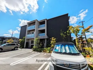 シャインの画像