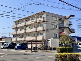 ミラドール今IIの画像