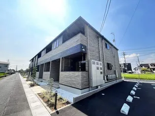 アイリス パディの画像