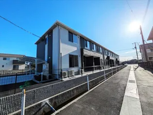 シェルティーの画像