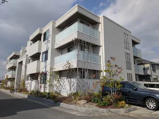 アドバンスの画像