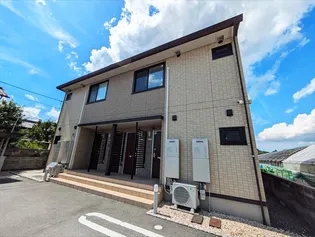 シンシアナガセの画像