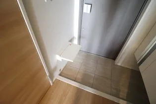 TWIN TOWERS SELINA【7階】の玄関