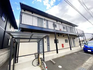 アモロッソ トリプルSの画像