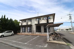 BAY LEAFの画像