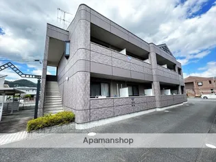 ゼフィランサスファミリーの画像