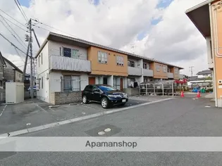 プレイン パイン Cの画像