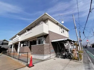 NON NONの画像