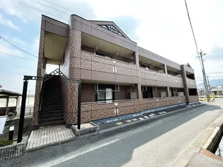 サンテームYの画像