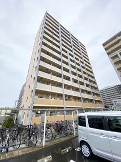 ケイマイティ 2の画像