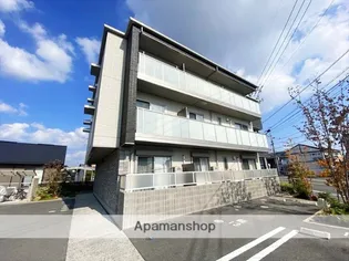 アン フェ ミュールの画像