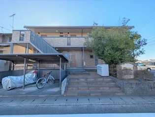 アネシスの画像