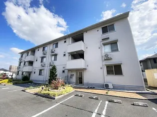 プラシード三宅の画像