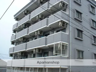 ジョイフリー皆賀【504号室】の外観