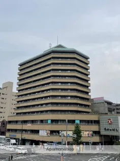 ビアビアンカマツヲの画像