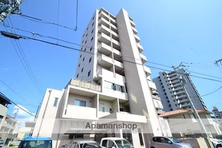 RENACE FUJIOKAの画像