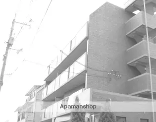 フリーシアの画像