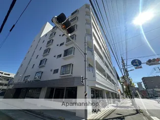 ドルミ庚午の画像