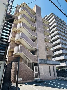 エレガンス STの画像