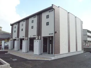 レオネクストサンシャインきららの画像