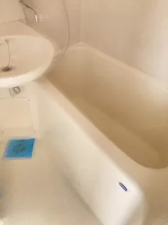 ダイアパレス宝町【2階】の風呂