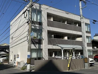 ルリアンソールの画像