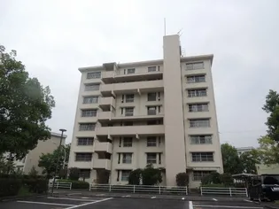 高陽金平団地 2号棟の画像