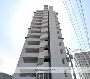 エイトバレー50の画像