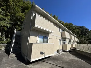 ひまわりの画像