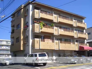 メゾン猫本の画像