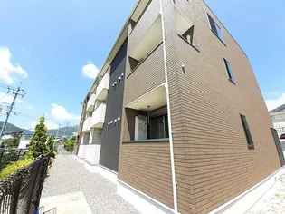 グラシオッソーレVの画像