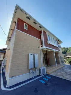 ベルフラワーの画像