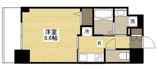 CASSIA河原町平和大通(旧S−RESIDENCE河原町平和)【2階】の間取り