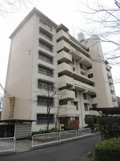 高陽真亀団地3号棟【703号室号室】の外観