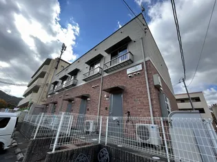 セラサス コリスの画像