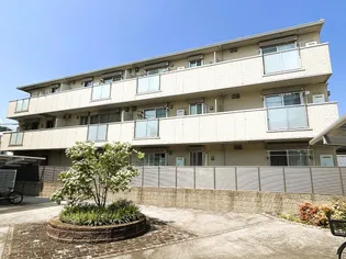 プランタンの画像