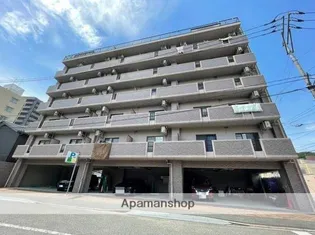 ラナーシタ光の画像