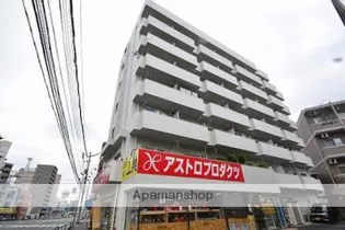 でしおドルフの画像