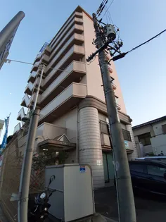 ハイネス江波の画像