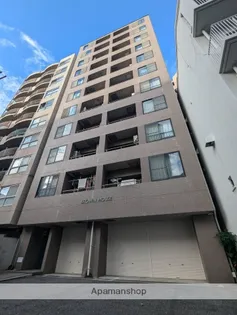 ブラウンハウス【11階】の外観