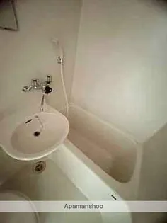 コーポ舟入南【4階】の風呂