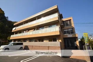 ベレオ相田の画像