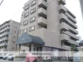 サクセスフォートの画像