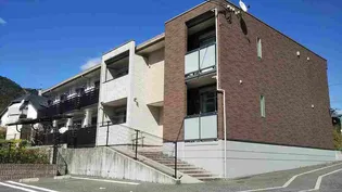 ミランダフィニアンの画像