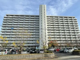 ビレッジハウス光南タワー1号棟【0703号室】の外観