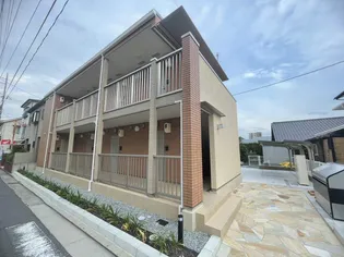 メインクーンの画像