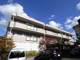 メモリーさくらの画像