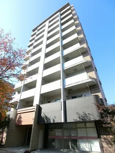 グランソレイユナカスジ【10階】の外観