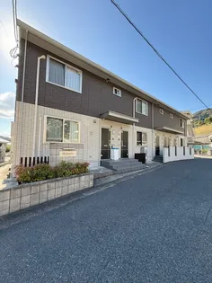 マルベリーの画像