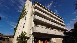 メゾン安川【5階】の外観